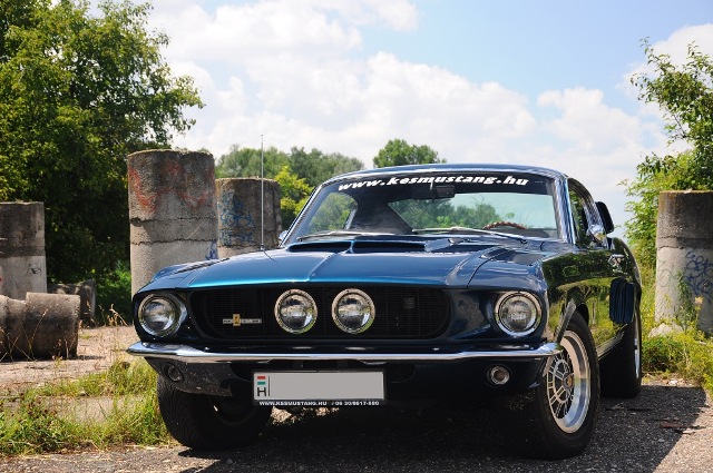Fotoshoot: Shelby GT350 replica