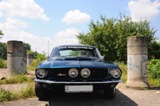 Fotoshoot: Shelby GT350 replica