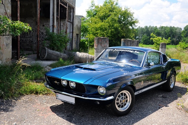 Fotoshoot: Shelby GT350 replica