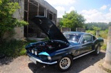 Fotoshoot: Shelby GT350 replica