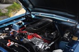 Fotoshoot: Shelby GT350 replica