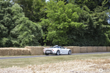 Goodwood 2013: The Hillclimb