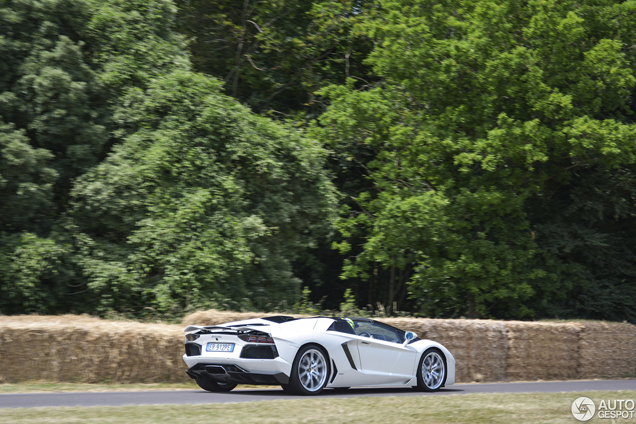 Goodwood 2013: The Hillclimb