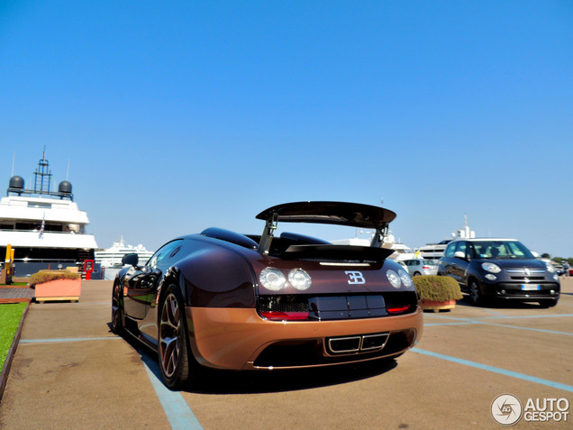 Welke Bugatti Veyron GS Vitesse vind jij het gaafst?