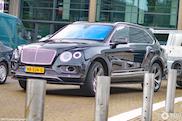 宾利 Bentayga 亲自干粗活