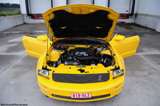 Fotoshoot: Ford Mustang GT