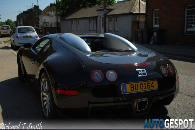 Hippe kentekens deel 22