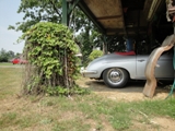 Fotoshoot met drie bijzondere Porsches!