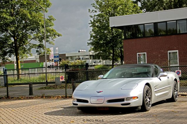 Evenement: Corvette zuid meeting