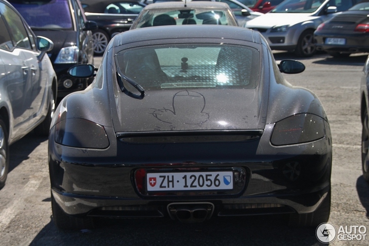 Lullige Porsche Cayman S gespot