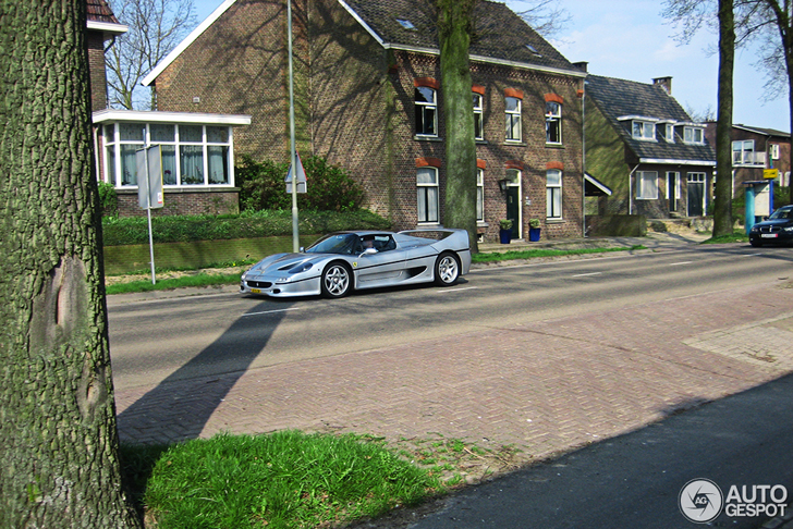 Spot van de dag: Ferrari F50