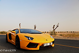 Special: desert run met Lamborghini Aventador LP700-4 