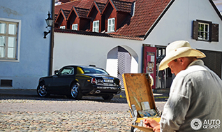 Oude stad van Tallinn blijkt geweldige plek om te spotten 