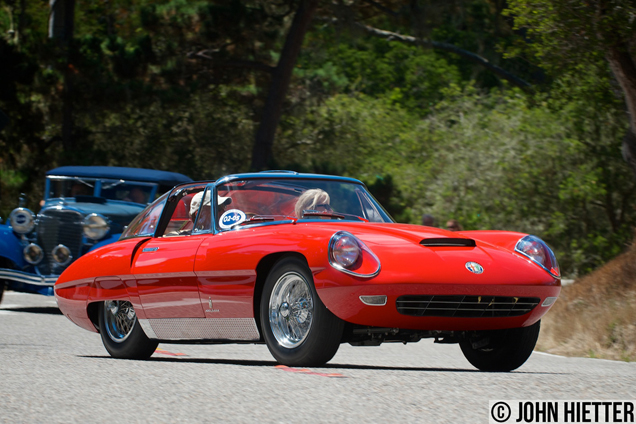 Pebble Beach: Tour d'Elegance