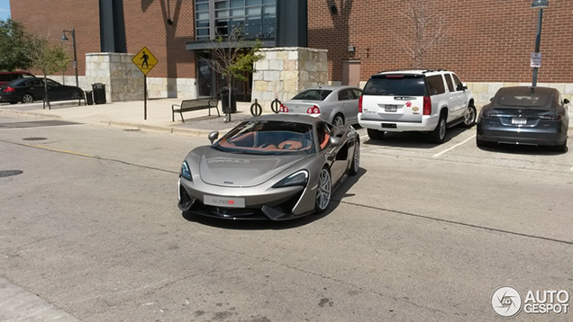 McLarens kleinste gespot in Illinois