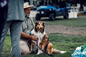 Event: Pebble Beach Concours d'Elegance 2019