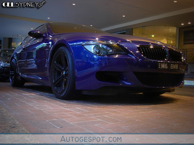 Hippe kentekens deel 13