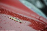 Fotoverslag: Antwerp Concours d'Elegance