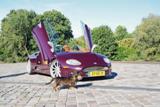 Fotoshoot: Spyker C8 Spyder