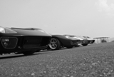 Fotoshoot: driemaal Ford GT 40