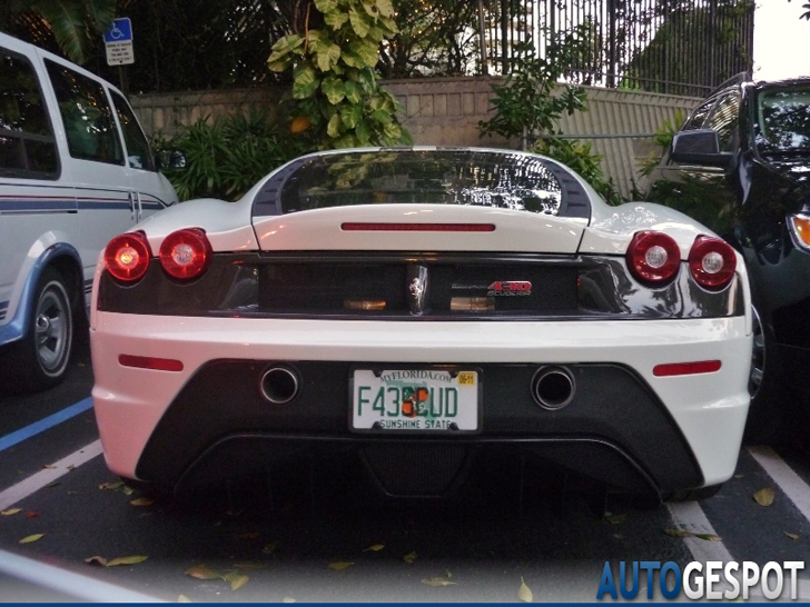 Hippe kentekens deel 36