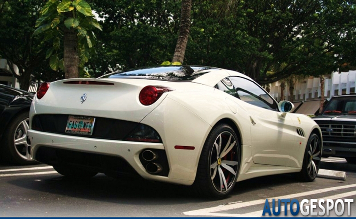 Hippe kentekens deel 36