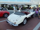 Fotoverslag: Belgrado Concours d'Elegance