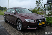 Purple on an Audi S5, who came up with that?