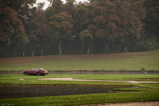 Event: Chantilly Arts and Elegance Concours 2014