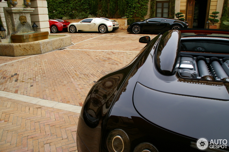 Viermaal Bugatti Veyron 16.4 gespot