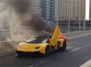 Lamborghini Aventador LP720-4 50° Anniversario brandt tot de grond af