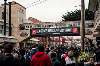 Event: Exotics on Cannery Row
