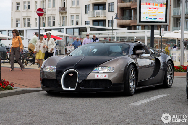 Hippe kentekens deel 46