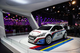 Salon de Paris 2012 : une belle conclusion