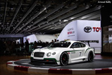 Salon de Paris 2012 : une belle conclusion