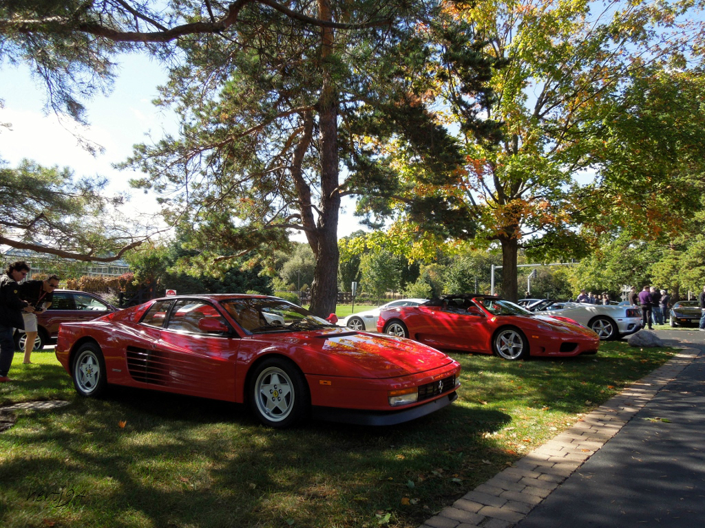 Event: Lake Forest Sportscars Concours