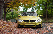 Fotoshoot: viermaal BMW M