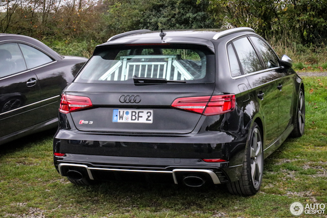 Goed nieuws: blijkbaar past je hond ook gewoon achterin een Audi RS3!