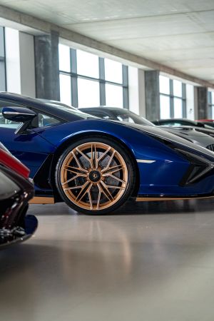 De Tailored for Speed-collectie: 42 zeldzame supercars gaan onder de hamer in Zürich