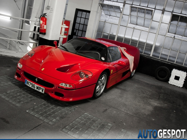 Spot van de dag: Ferrari F50