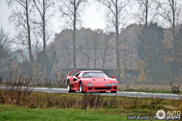 Spot van de dag: Ferrari F40 in Oele