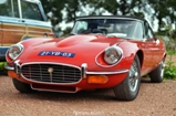 Event: De rivierenland rally