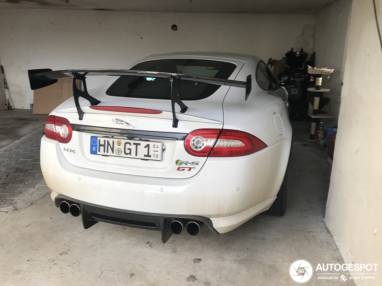 Wilde kat moet het doen met een krabpaal in de garage