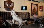 Moskou 2011: bezoek TopLine beurs