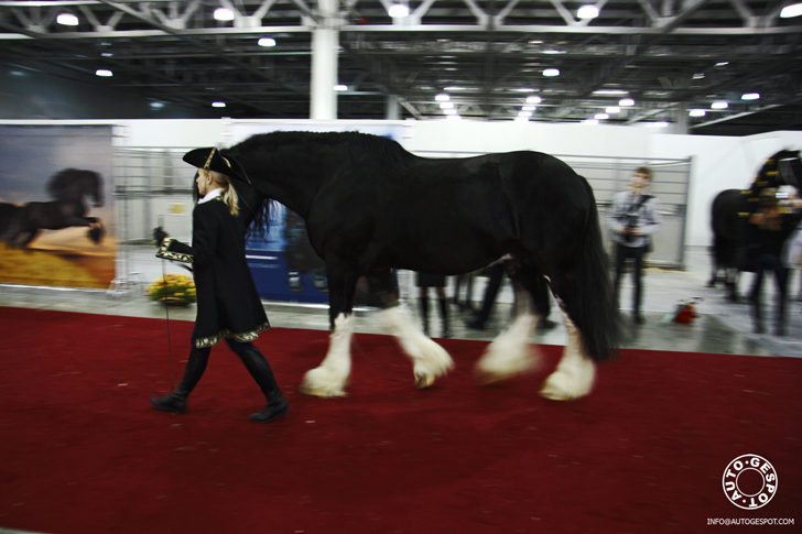 Moskou 2011: bezoek TopLine beurs