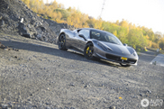 Davvero un bel esemplare della Ferrari 458 Italia