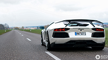 Special: op pad met de spectaculaire Novitec Torado!