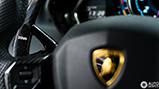 Special: op pad met de spectaculaire Novitec Torado!