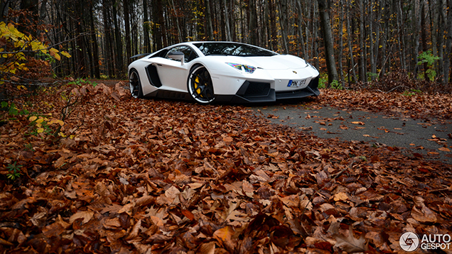 Special: op pad met de spectaculaire Novitec Torado!