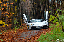 Special: op pad met de spectaculaire Novitec Torado!